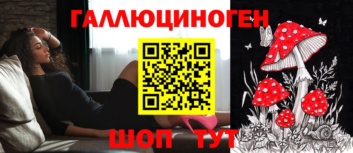 Галлюциногенные грибы мухоморы Мценск